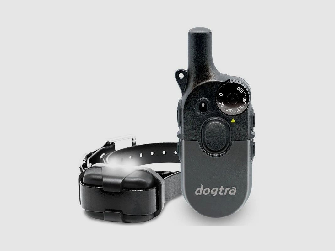 Dogtra 600 IQ - 1 Hund - 600m, Bild 1 von 2