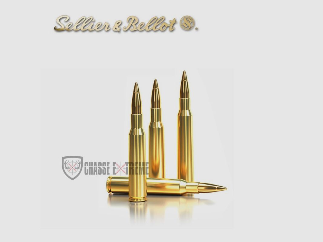20 Patronen S&B Kal. 8×57 JS 195gr HPC
