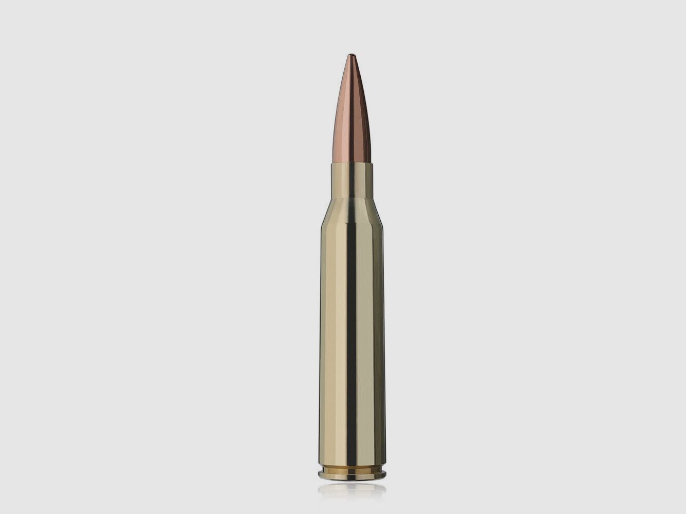 RWS Target Elite Plus 300grs 20St .338LapMag