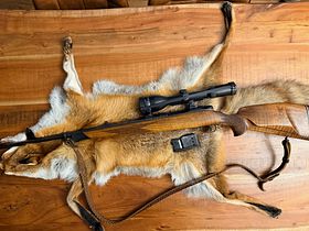 Sauer 80 Mod Brennecke