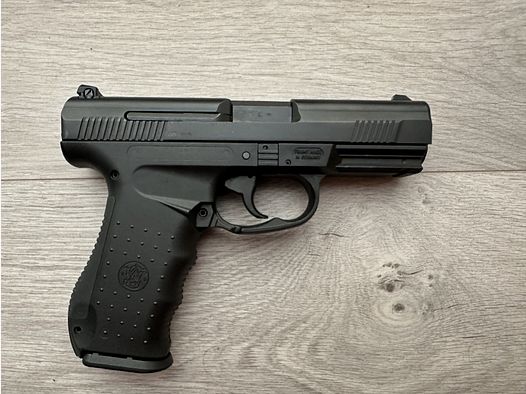 Sehr seltene Smith&Wesson SW990L im Kaliber .45Auto