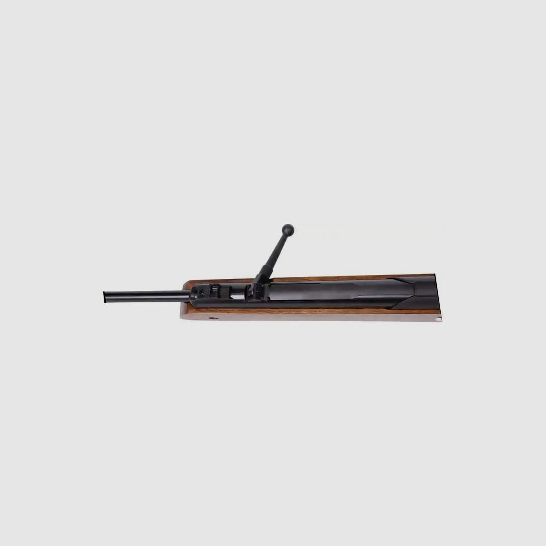 Air rifle Diana Oktoberfest