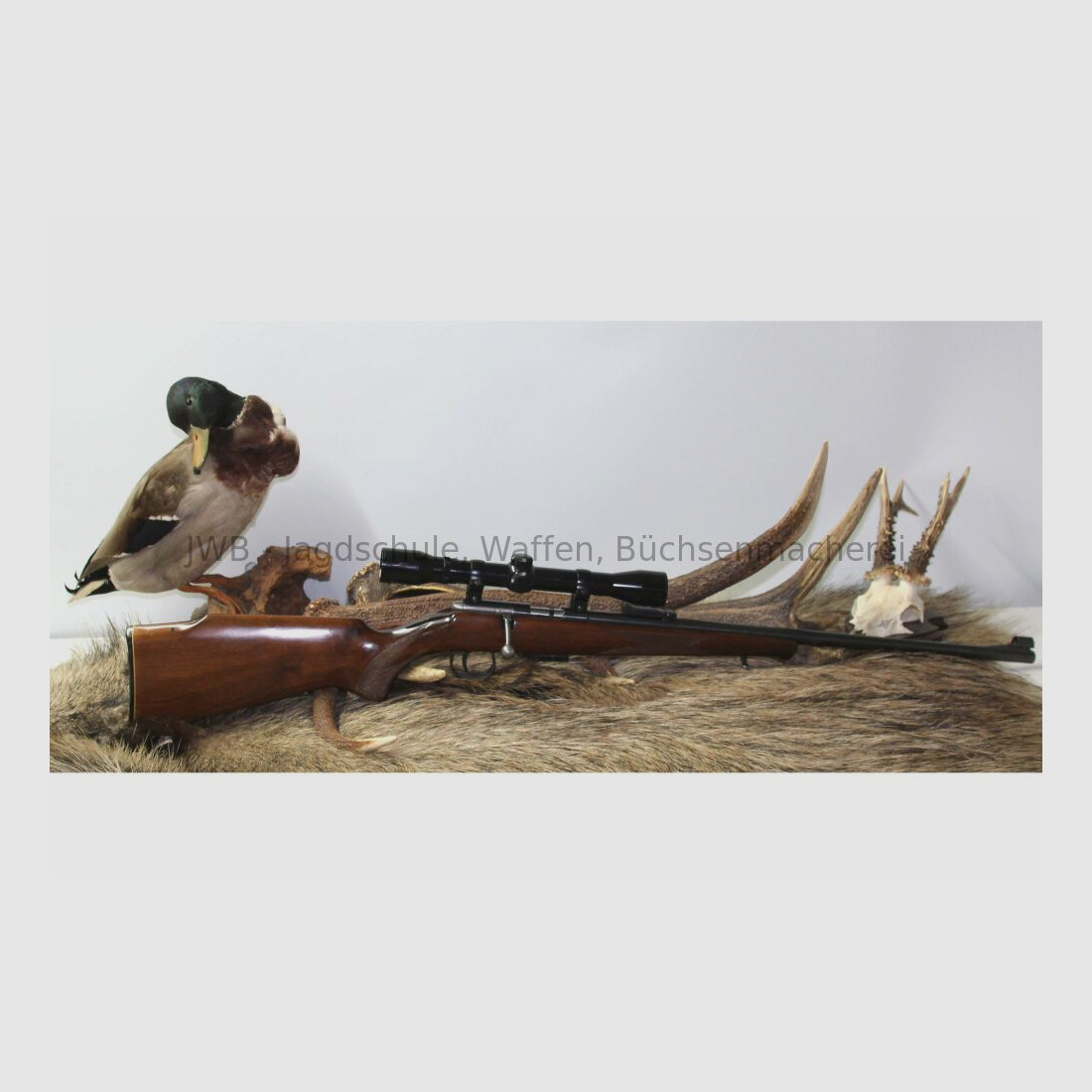 Anschütz 1400 .22lr