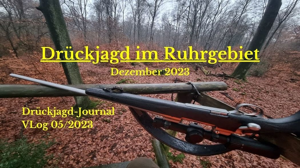 Drückjagd im Ruhrgebiet, Dezember 2023 - Drückjagd-Journal / Vlog, Folge 05/23