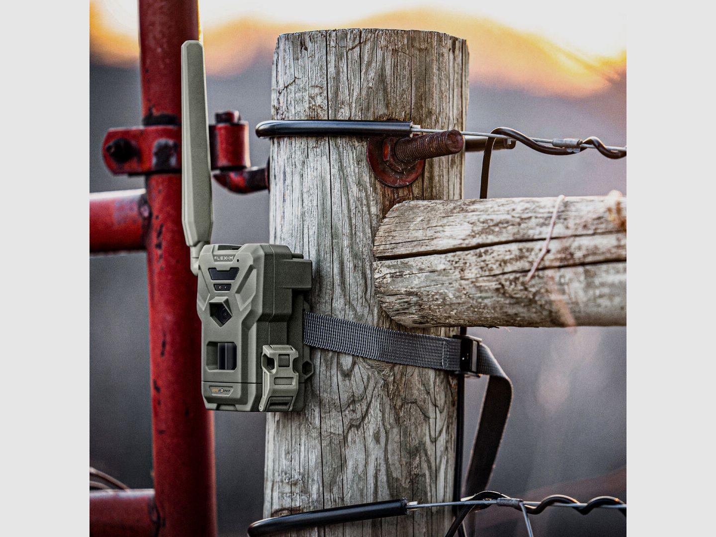 Spypoint Flex-M