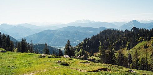 Jagdzeiten Bayern