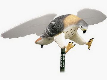 MOJO Outdoors™ Motor-Habicht/Falke