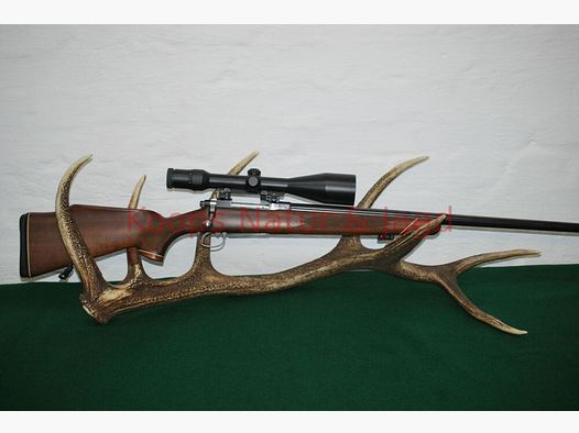 Tikka M 55