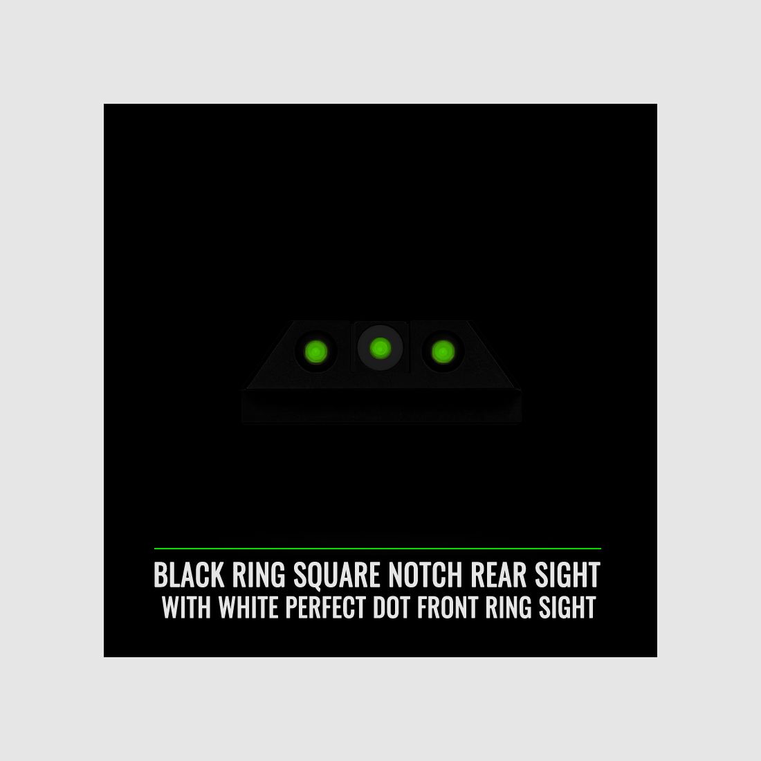 NIGHT FISION Glock 42/43/43X Perfect Dot Tritium Sight SN-WB, Bild 2 von 2