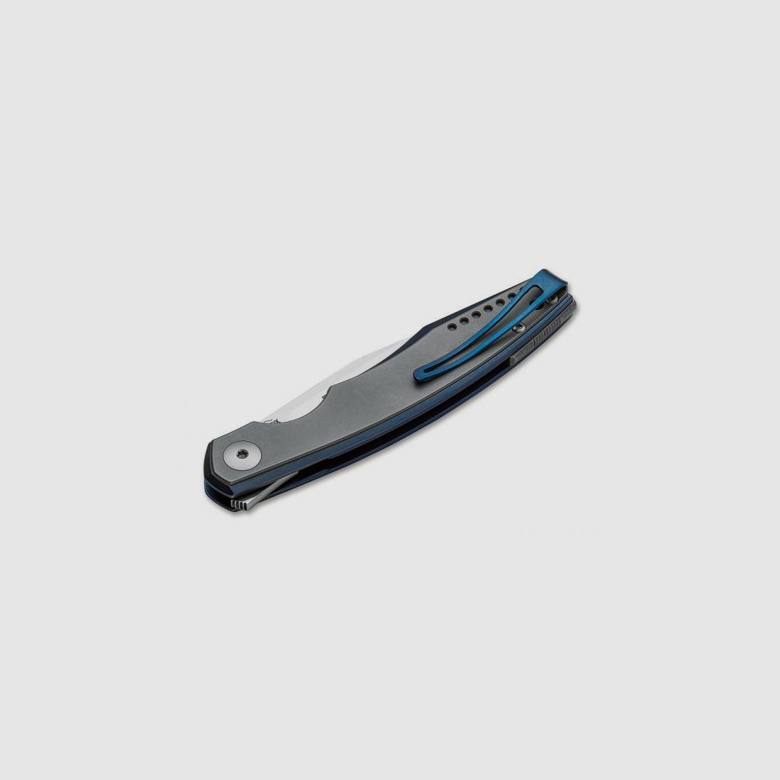 Viper Belone Blue, Bild 2 von 2
