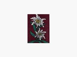 Luise Steiner edelweiss bordeaux
