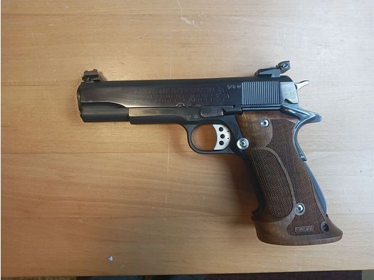 Colt Government 70er Series