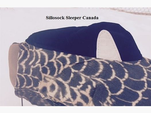 Sillosocks Canada goose Schlafende Kanadagans