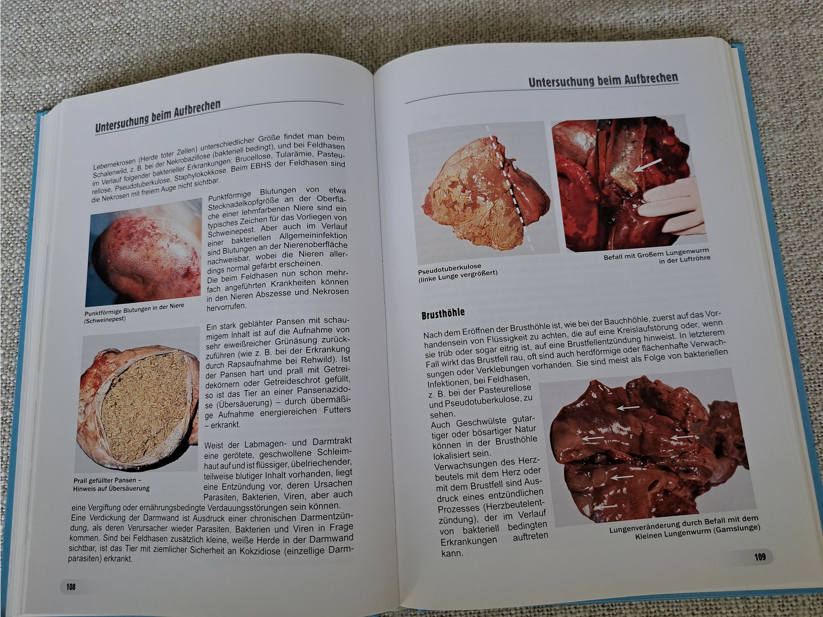 Igiene della carne selvatica (di Winkelmayer/ Paulsen/ Lebersorger/ Zedka)