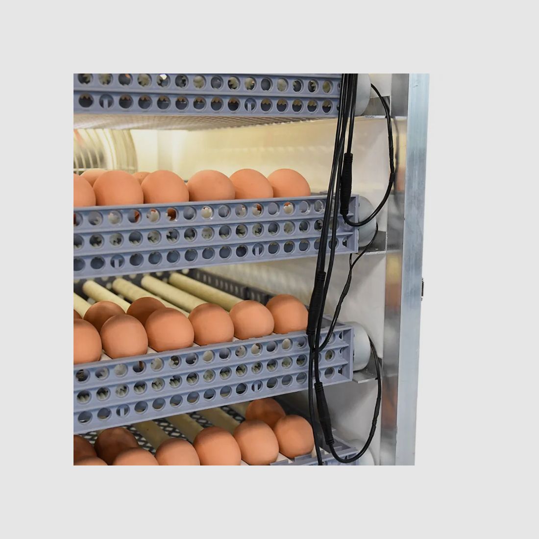 Pro Expert Couvitech® Incubator 224 eieren, afbeelding 12 van 24