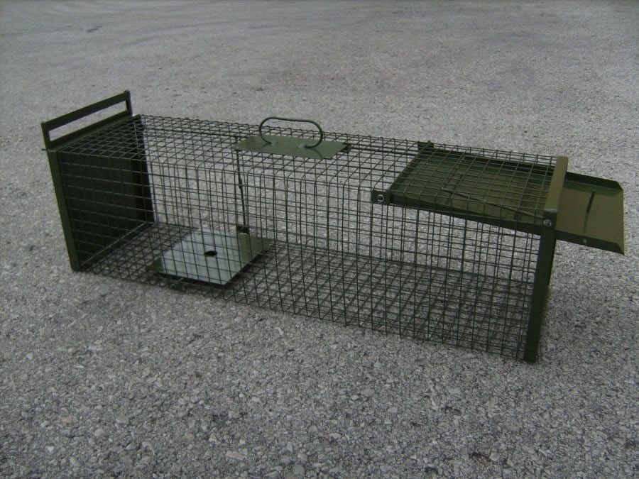 DAUTH Drahtkastenfalle mit einer Klapptür und Entnahmeschieber