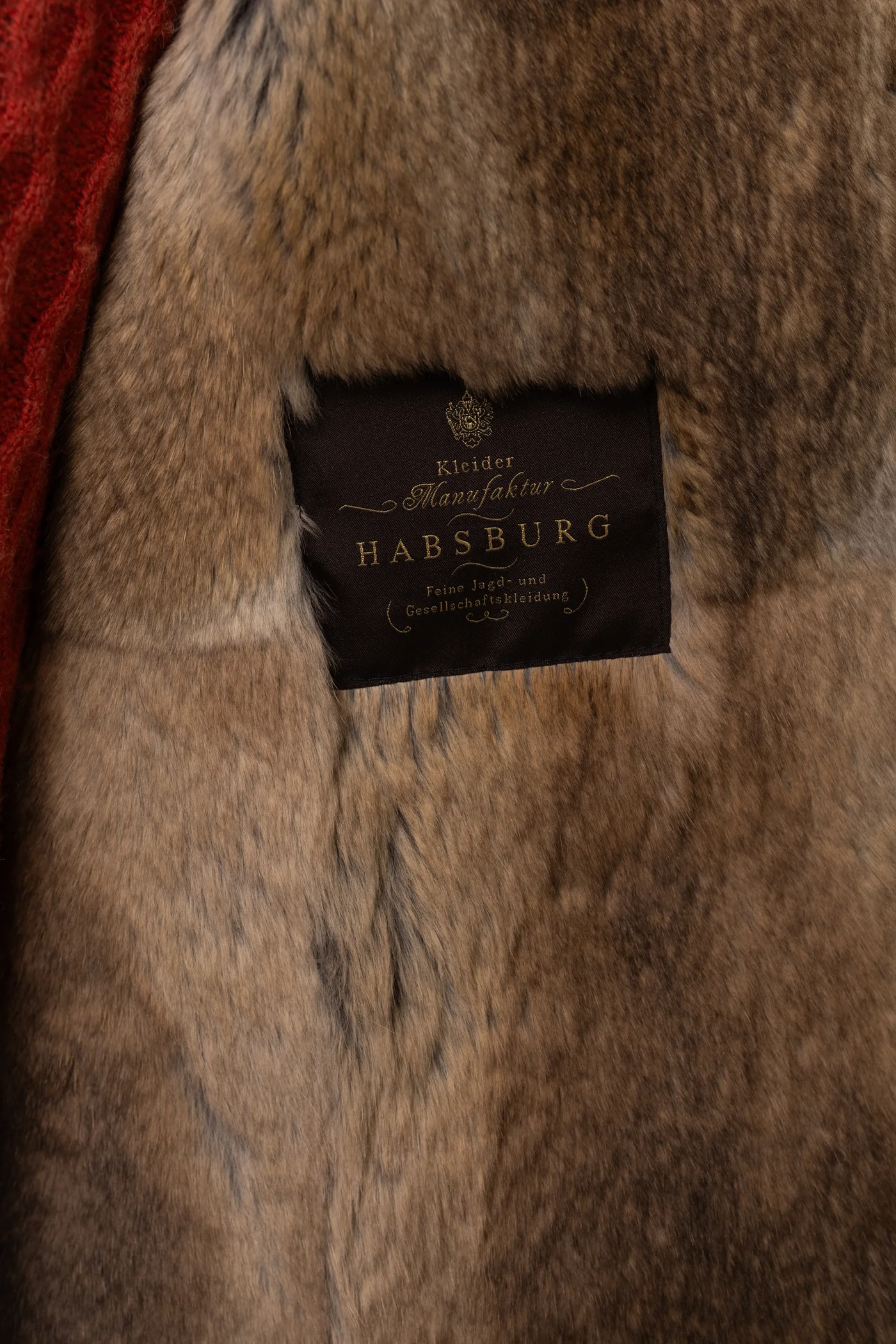 Habsburg Hector mit Samtkanin, Bild 6 von 11