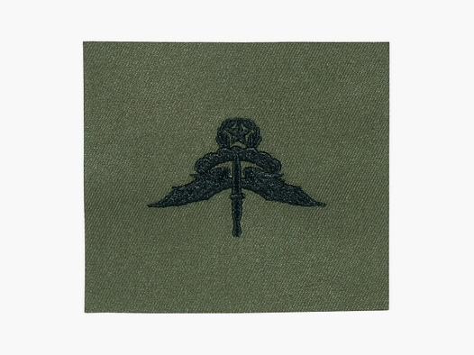 Unbekannt JR Emblem Co. Abzeichen US Freefall Halo Master Textil