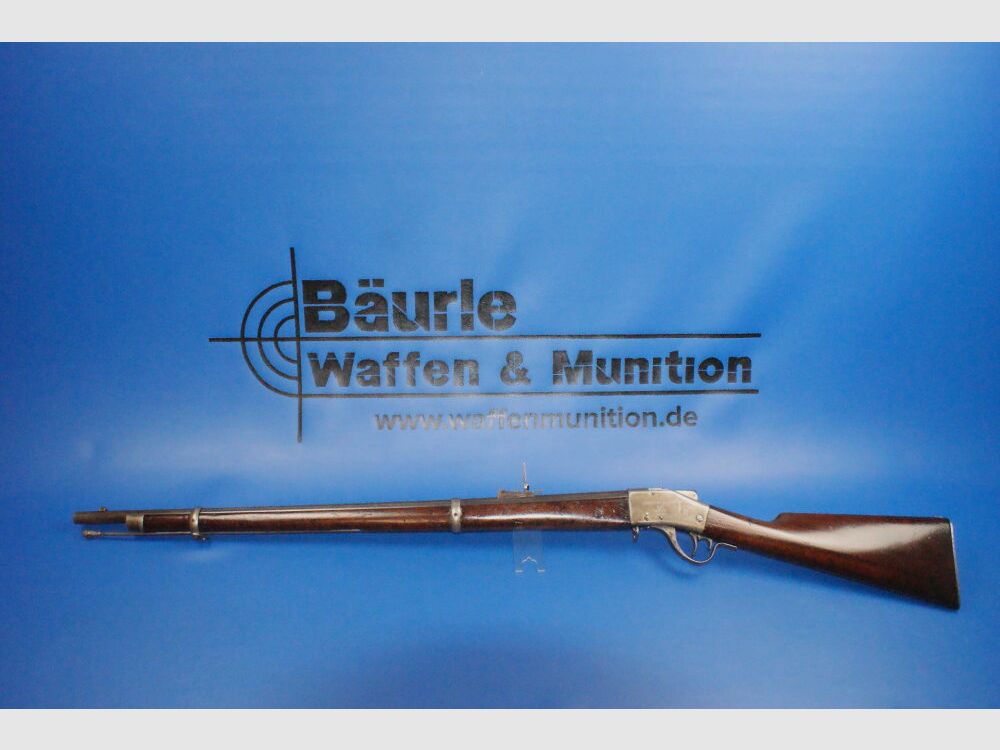 Sharps 1878 .45-70Gov