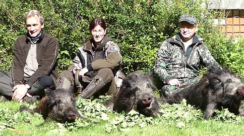 Bockjagd und Jagd auf Schwarzwild in Polen (Pommern) 2016, Teil 2 mit dem Oldenburger Jagdcenter