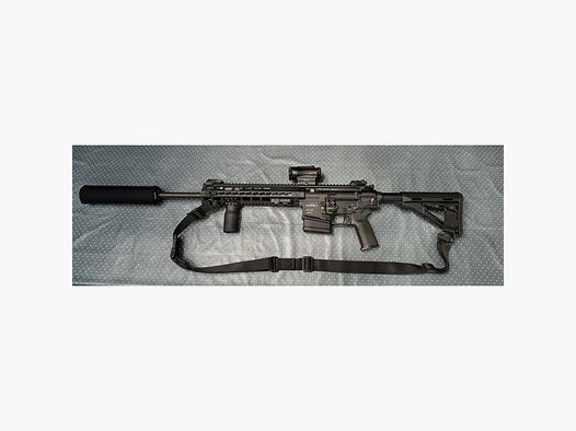 Haenel CR308, Holosun HE530G-GR, A-Tec 150Hertz Schalldämpfer und jede Menge Magpul Zubehör