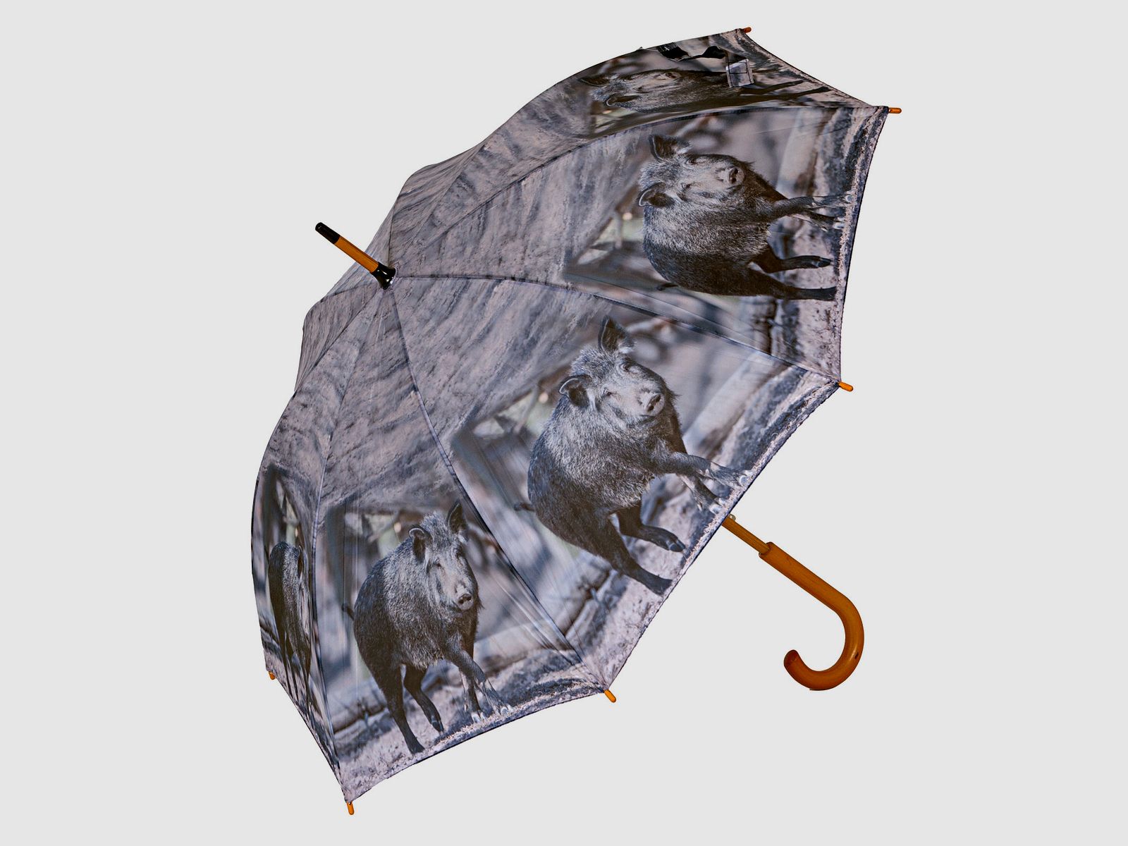 Regenschirm Sauen