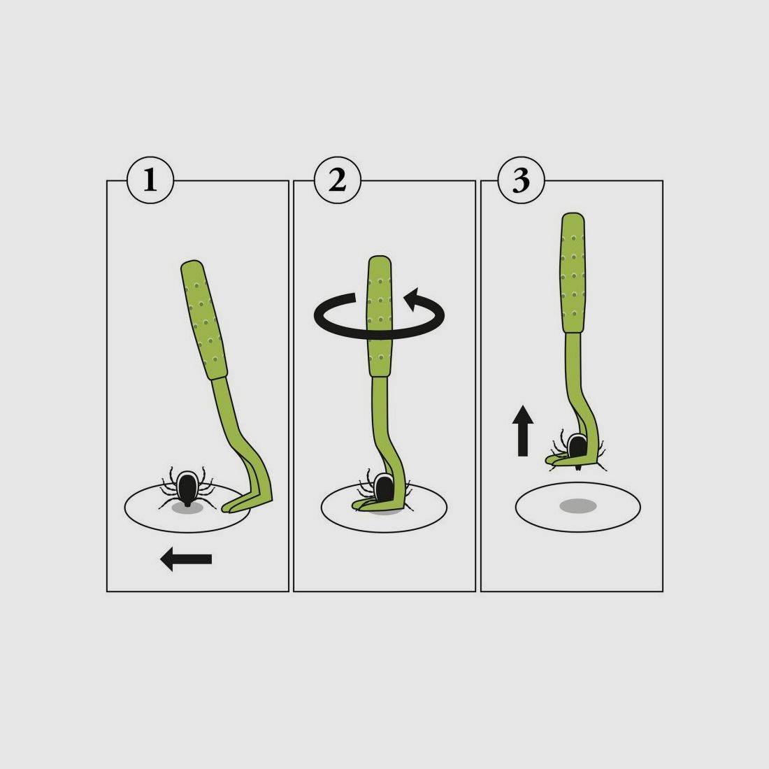 Hunter Zeckenhaken Ajka 2er Set