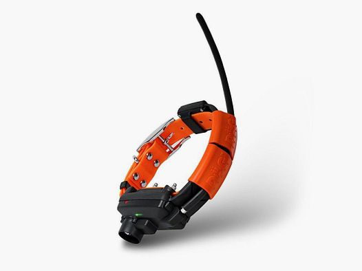 GPS DOGTRACE Collar Adicional GPS X25-TB