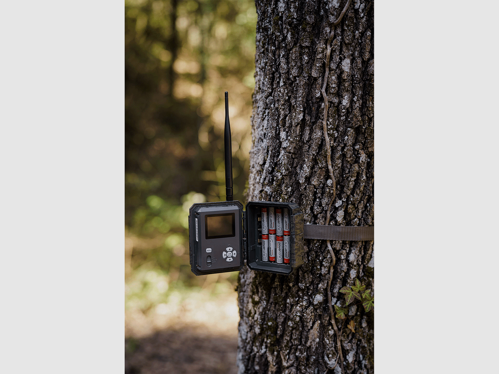 FOTOTRAPPOLA – ICU CLOM CAM5 – 4G/LTE – Batterie e SD incluse, immagine 10 di 11