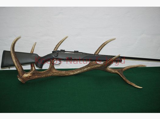 Steyr Mannlicher Classic