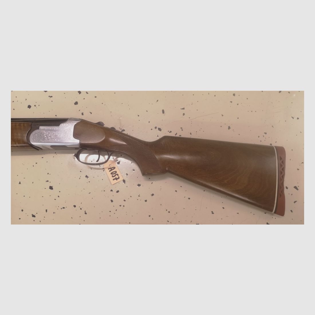 BDF Ibargun  Lanber 