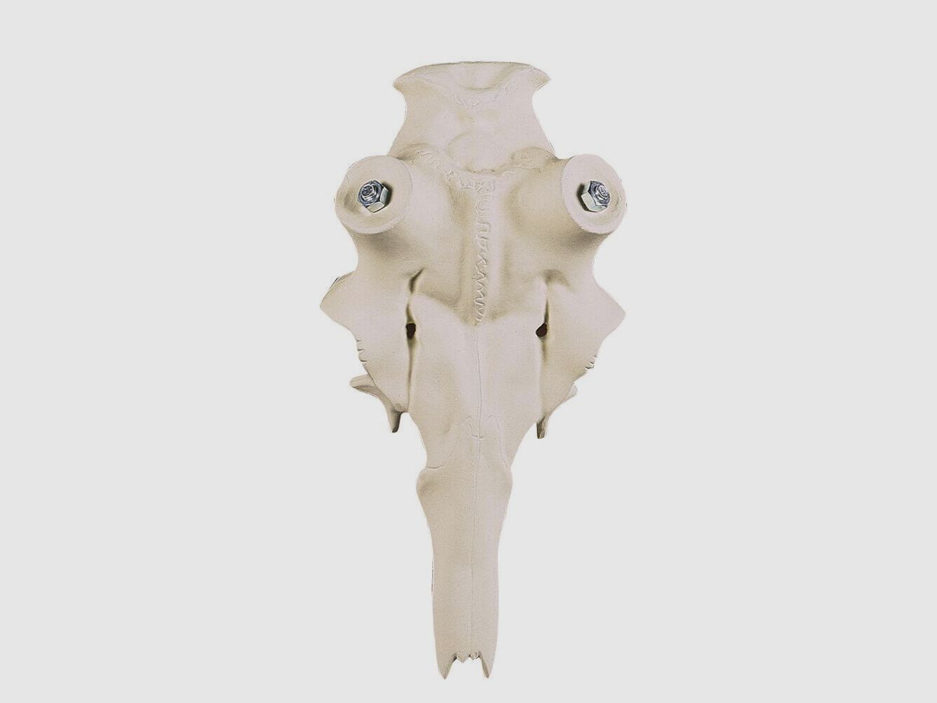 Crâne de cerf élaphe en aluminium - 65 mm