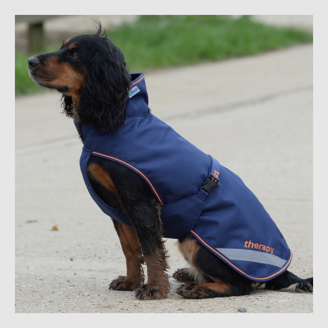 Bucas Therapy Hundedecken