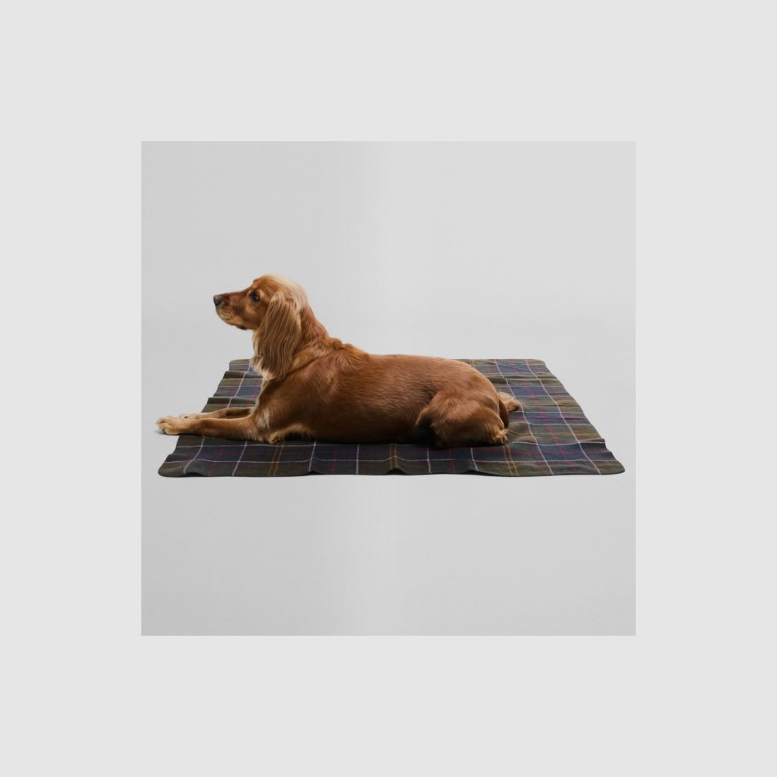Barbour Hunde-Stoff-Decke Tartan | classic tartan, Bild 3 von 10