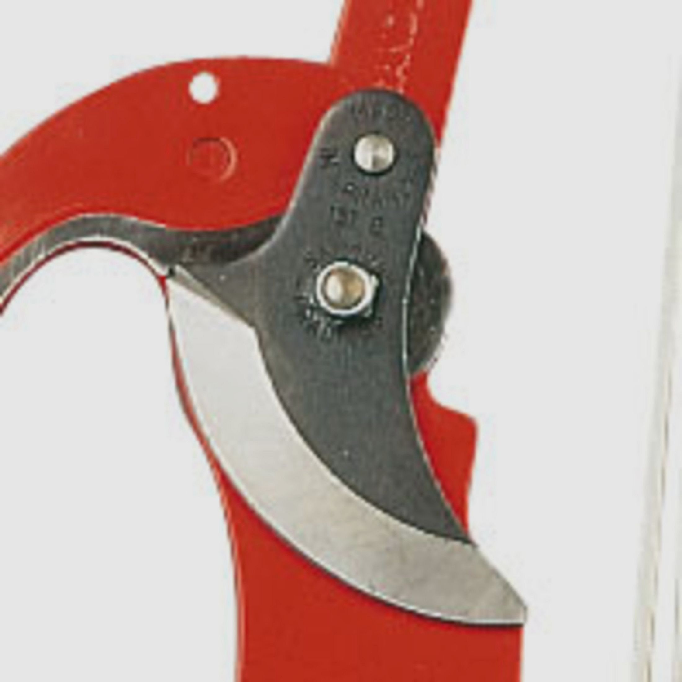 Cuchilla de repuesto para tijeras de oruga