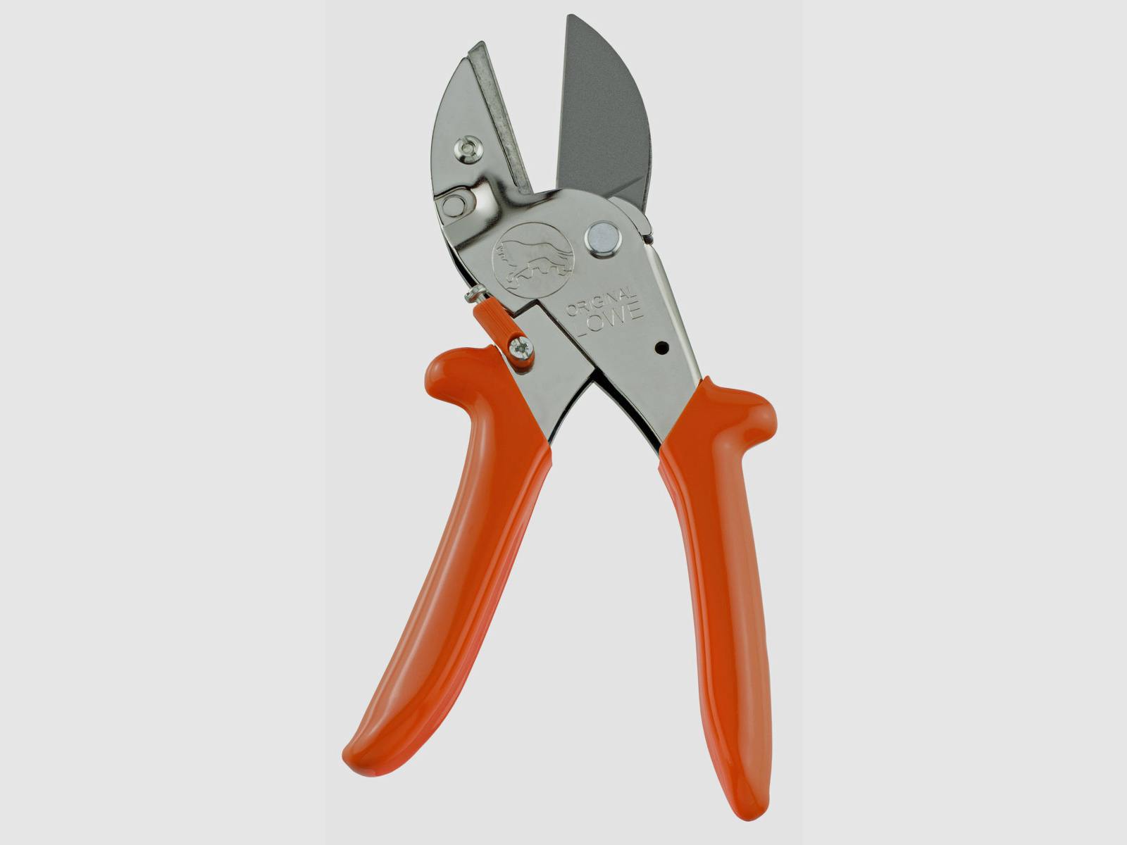 Hunting scissors lion