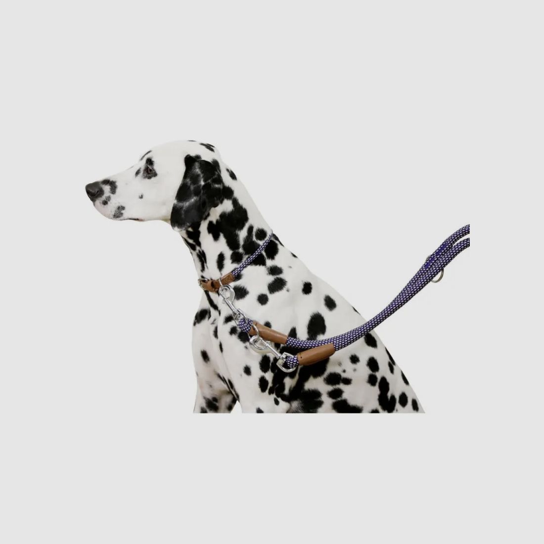 Collare per cane in corda 45 - 65 cm, immagine 5 di 8