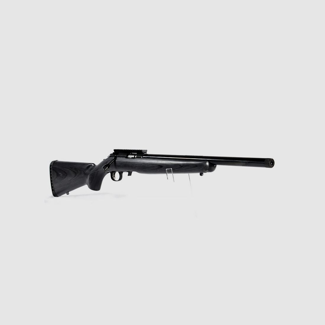 RUGER American Rimfire Target