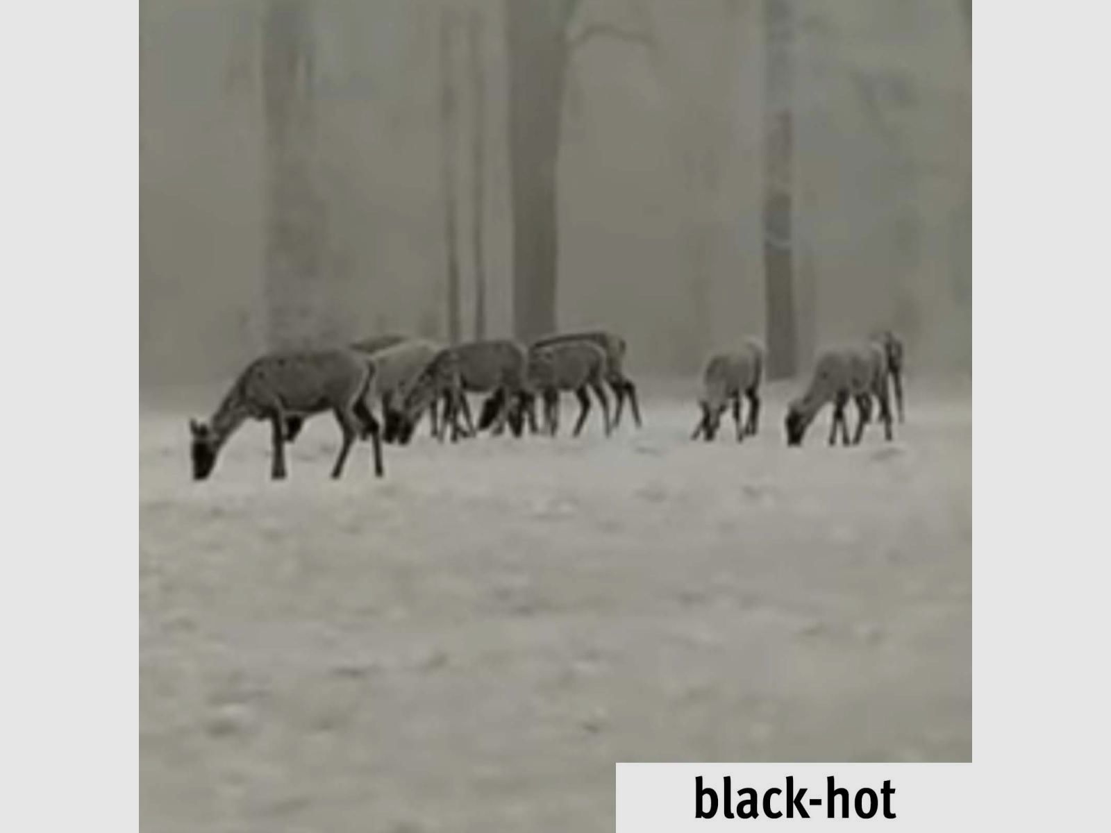 Lahoux Digiclip Pro Nachtsichtgerät