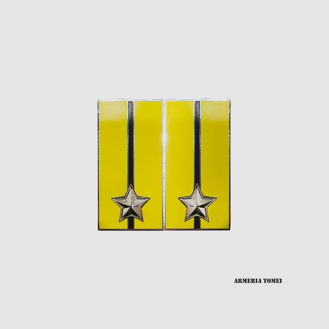 HEER – PAAR ABZEICHEN DIVISION AQUA