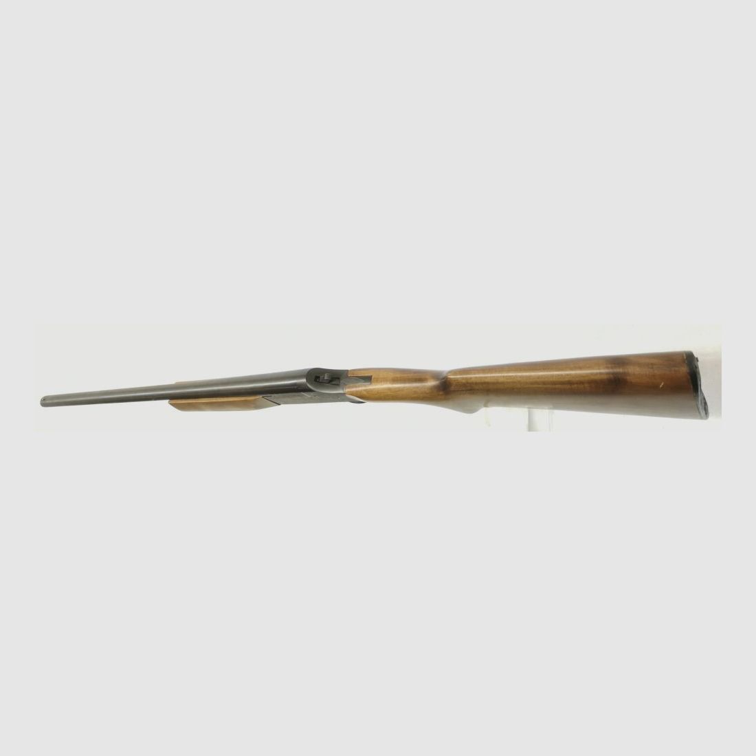 Hubertus Boito Reúna, Bild 6 von 10