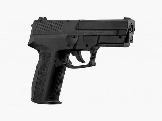 Steel Ball Pistol Borner 22