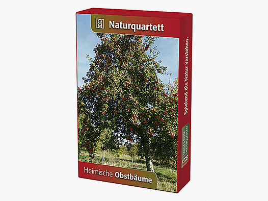 Quartet de la nature "Arbres fruitiers"
