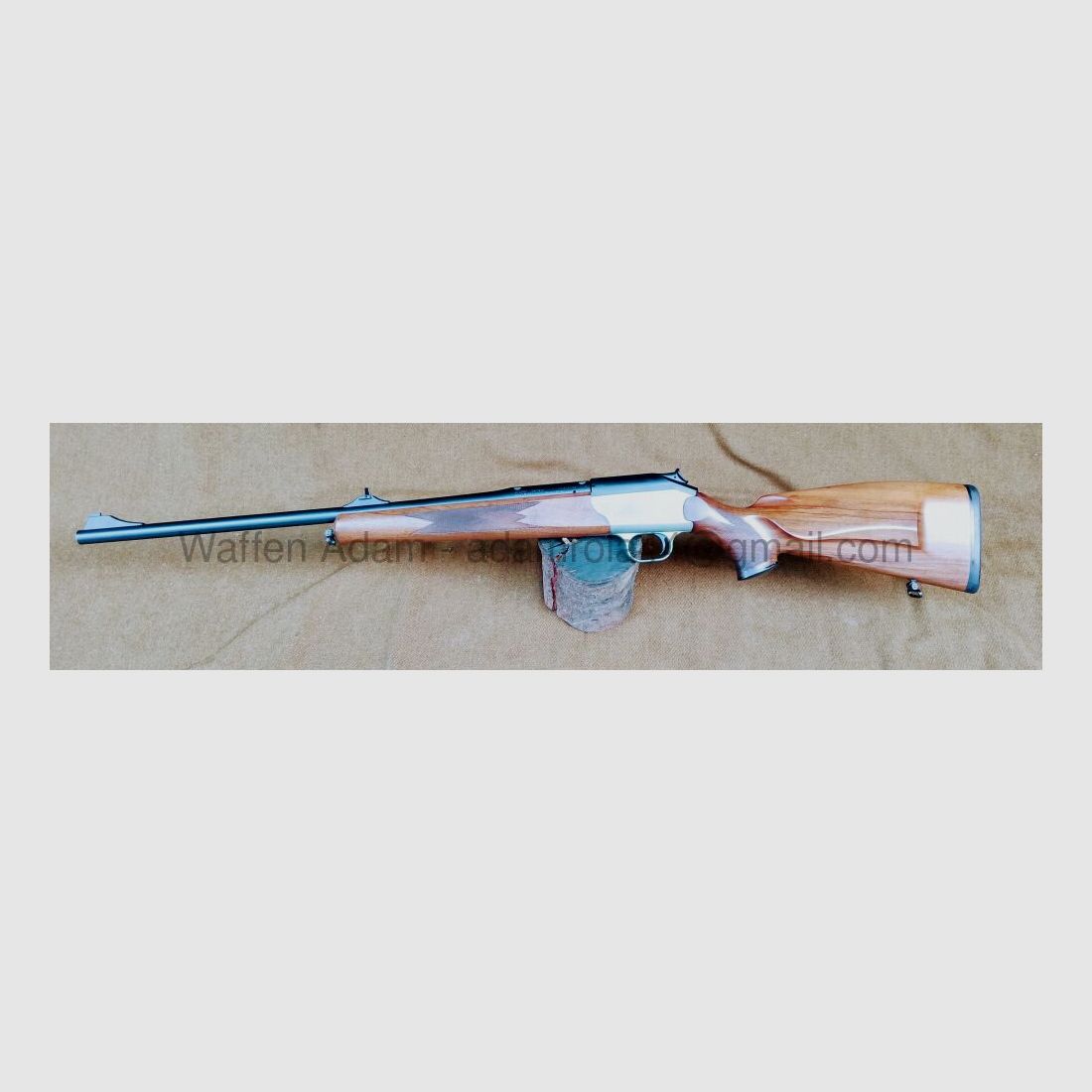Blaser	 R 93