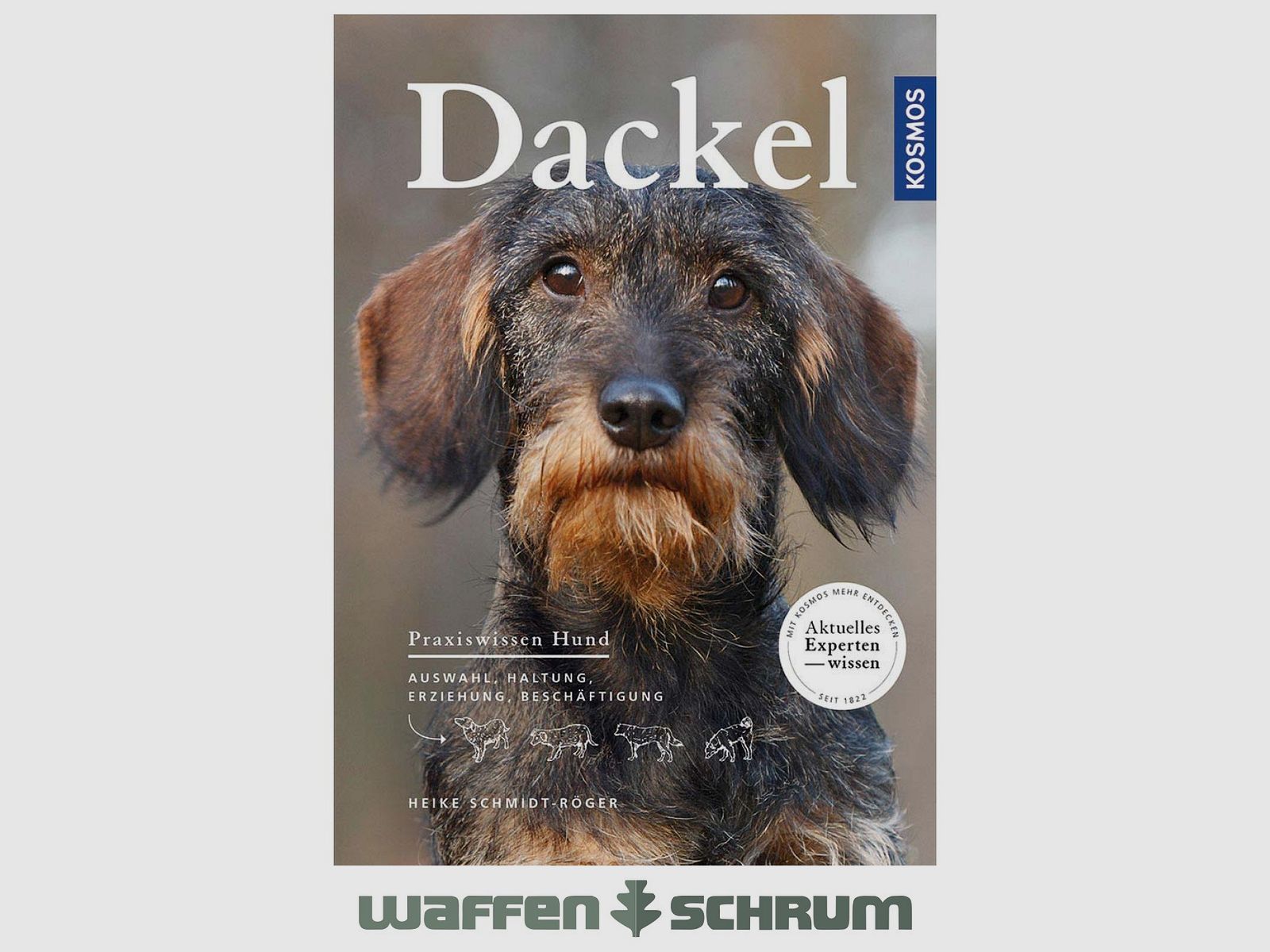 Cosmos Dachshund Heike Schmidt-Röger