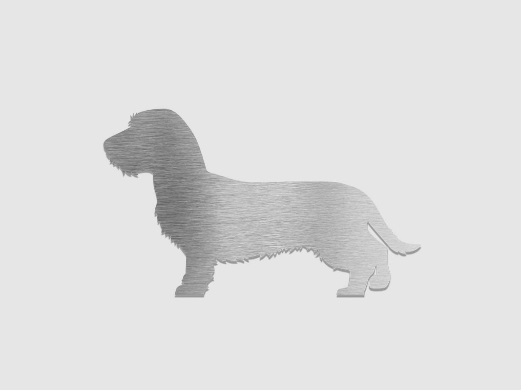 Pin decorativo "Dachshund de pelo duro"