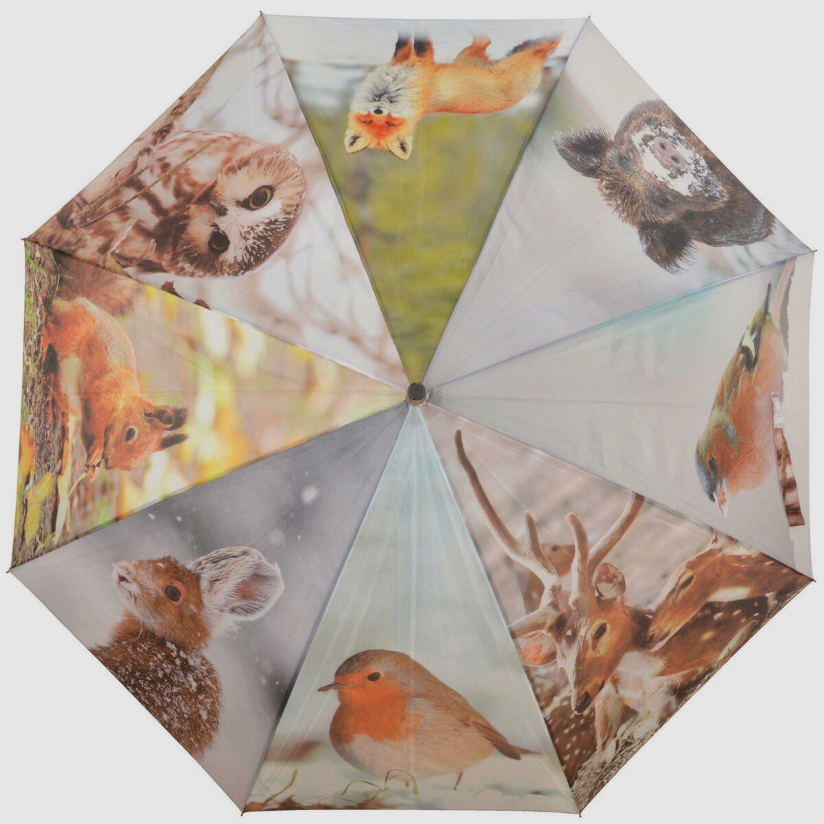 Lovergreen outdoor motif umbrella with various animals