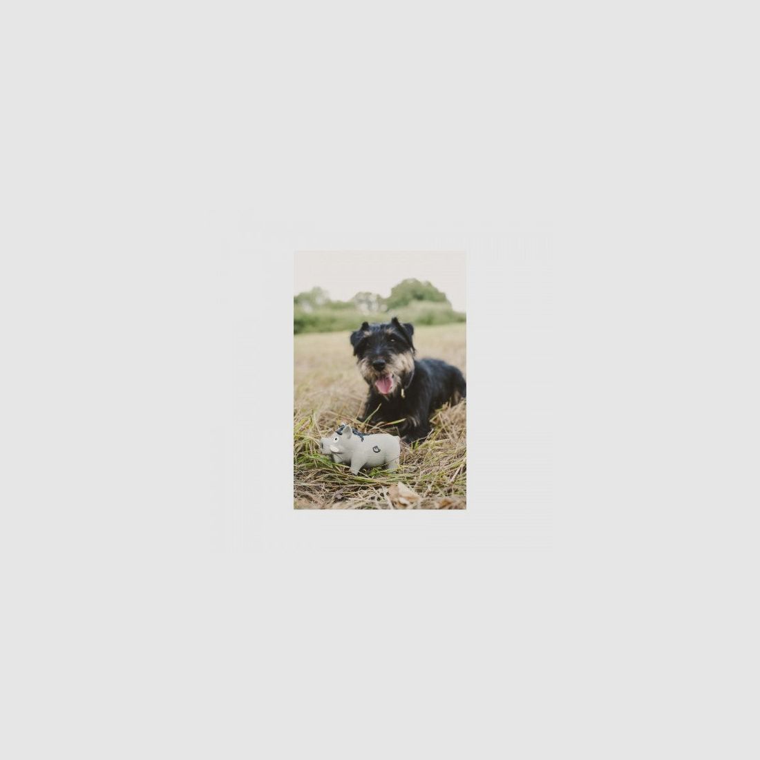 Farm-Land Cochon en Latex, image 5 sur 7