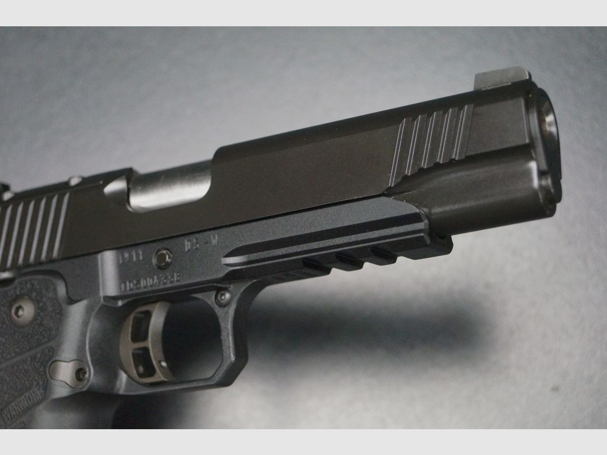 Kimber 1911 DS Warrior 9mm, Bild 2 von 7
