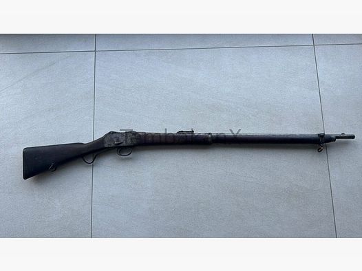 Enfield Bj. 1875 (vermutlich) .445SuperMag